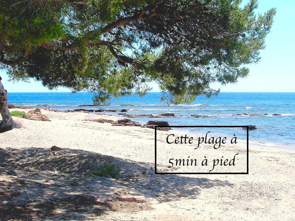Et Nature Apartamento